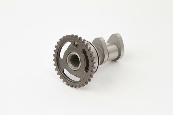 Heiße Nockenwellenaufnahme - Stufe 1 2041-1in