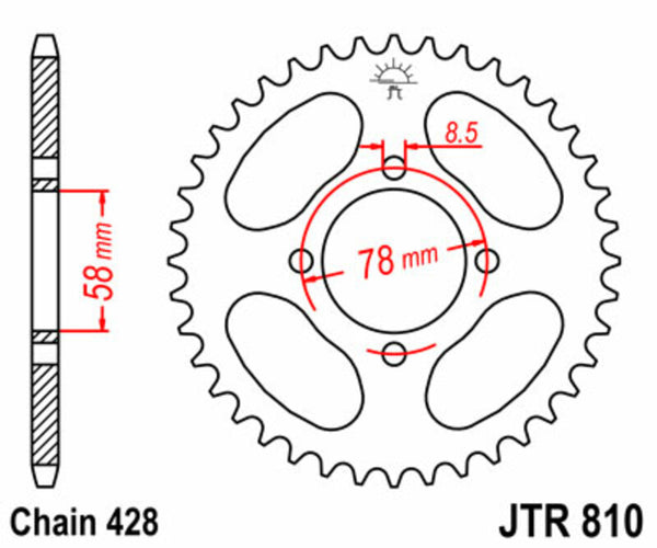 JT -Sprock -Stahlstandard -Heck -Kettenrad 810 - 428 JTR810.41