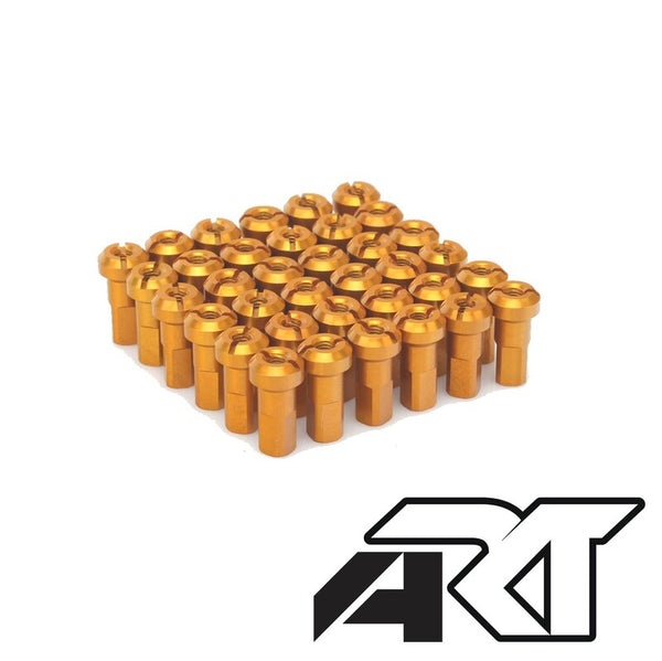 Haan -Räder Speichen Set - 36 Speichen tr -gold