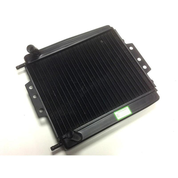 Bihr Wasserkühler - Piaggio MP3 125 - 500 1118942