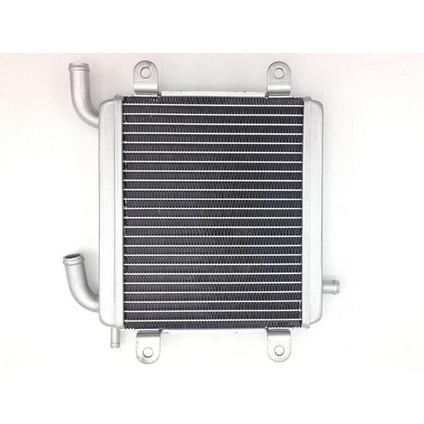 Bihr Wasserkühler - Yamaha Aerox 50 / MBK Nitro 50 1118943