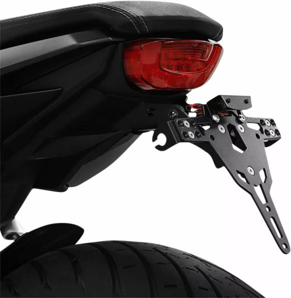 Zieger LCS PLT HLD TYPE A CB650R 10008026