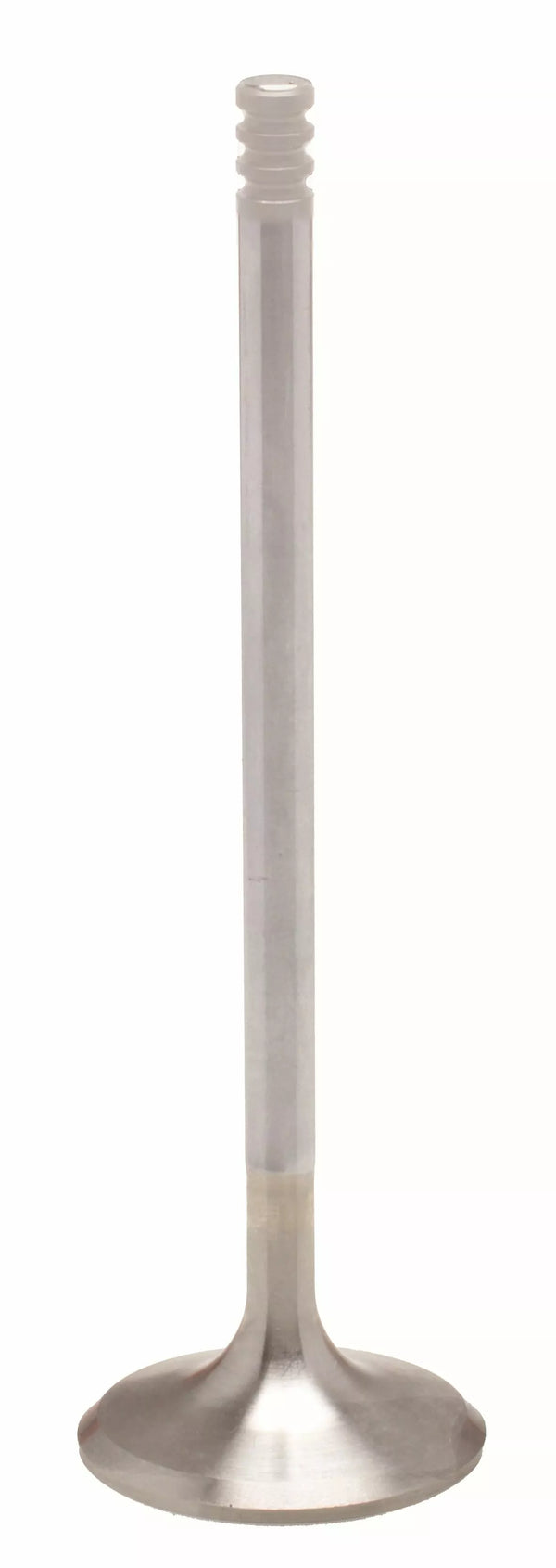 KibbleWhite Valve EXH INC M8+0 5mm HD 20-21018K