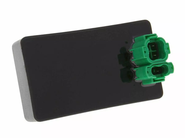 101 Oktan CDI -Einheit IP31349