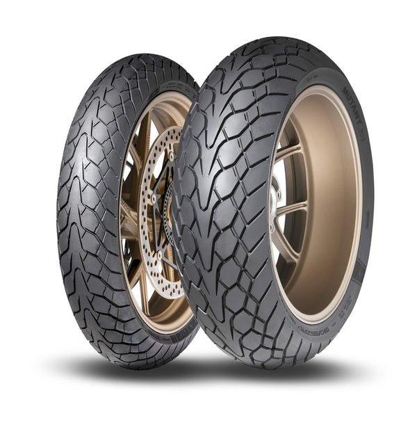 Dunlop -Reifenmutante 150/60 Zr 17 m/c (66 W) Tl M+S