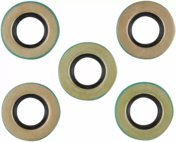 Cometic Seal im Primärlager C9518