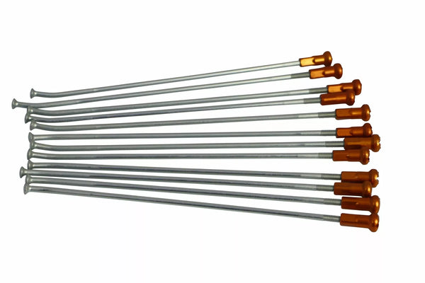 Kite sprach Kit für 14 SIL/oder 20.922.0.ar