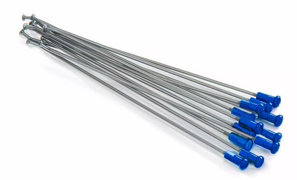 Kite sprach Kit für 14 SIL/BL 20.922.0.BL